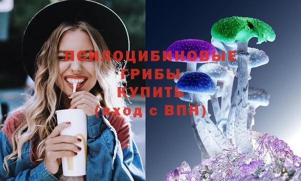 гидра Армянск