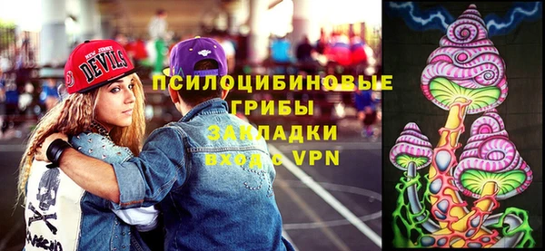 гидра Армянск