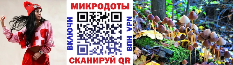 даркнет сайт  Сясьстрой  Галлюциногенные грибы ЛСД 