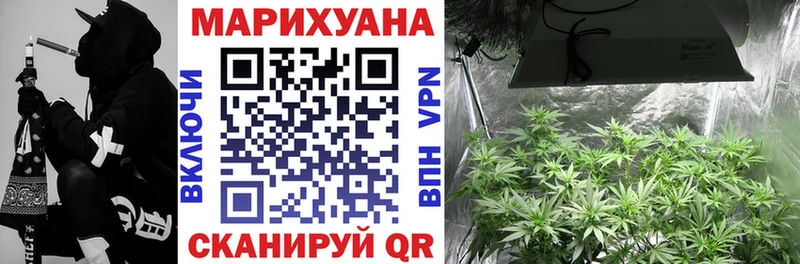 Канабис Bruce Banner Сясьстрой
